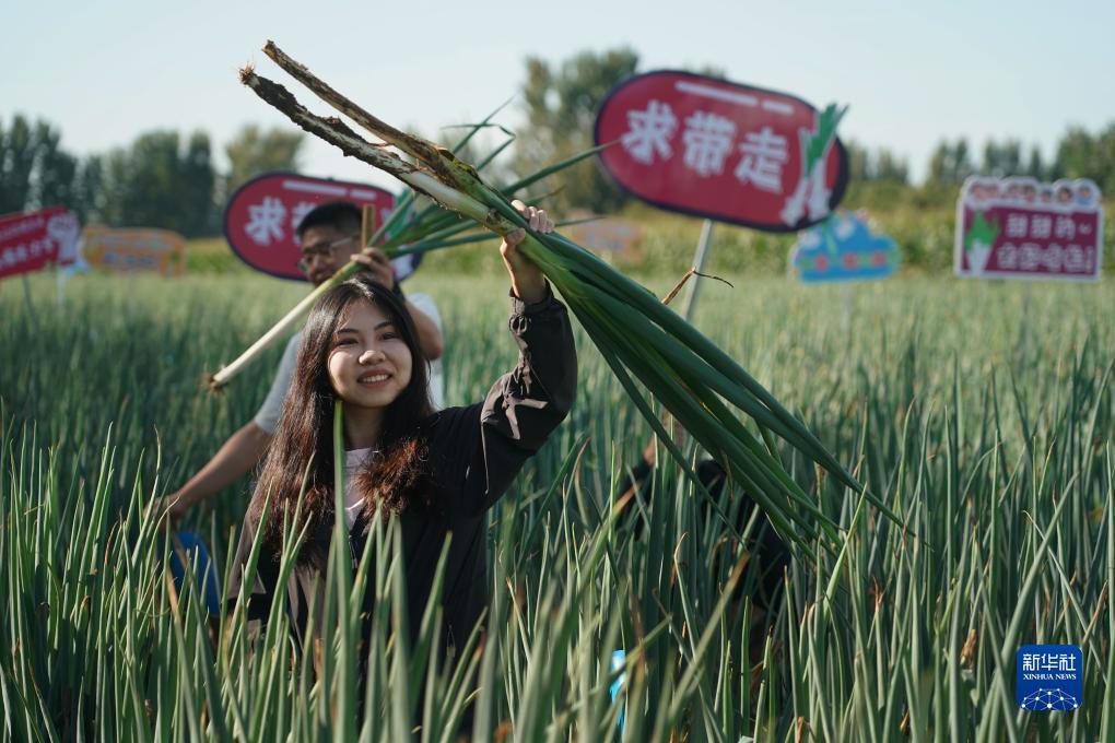 98捕鱼游戏中心